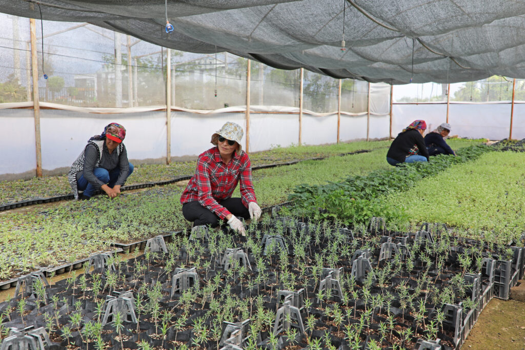 Tarıma büyük destek