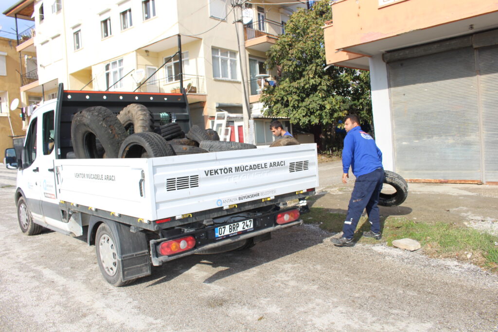 Sineklerin üreme alanı lastikler toplanıyor