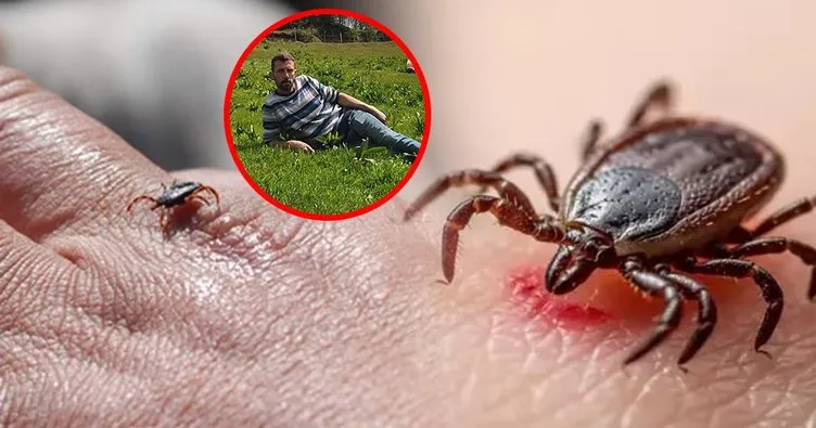 KENELERDEN GELEN TEHLİKE