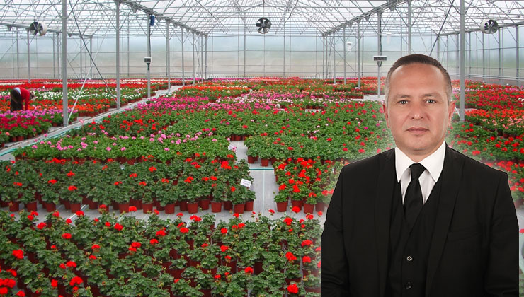 Antalya’da Örtü Altı Tarımı Gelişerek Tarla Birim Fiyatlarını Etkiliyor